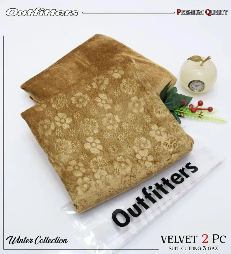 Velvet Floral 2PC Suit Beige Winter Collection