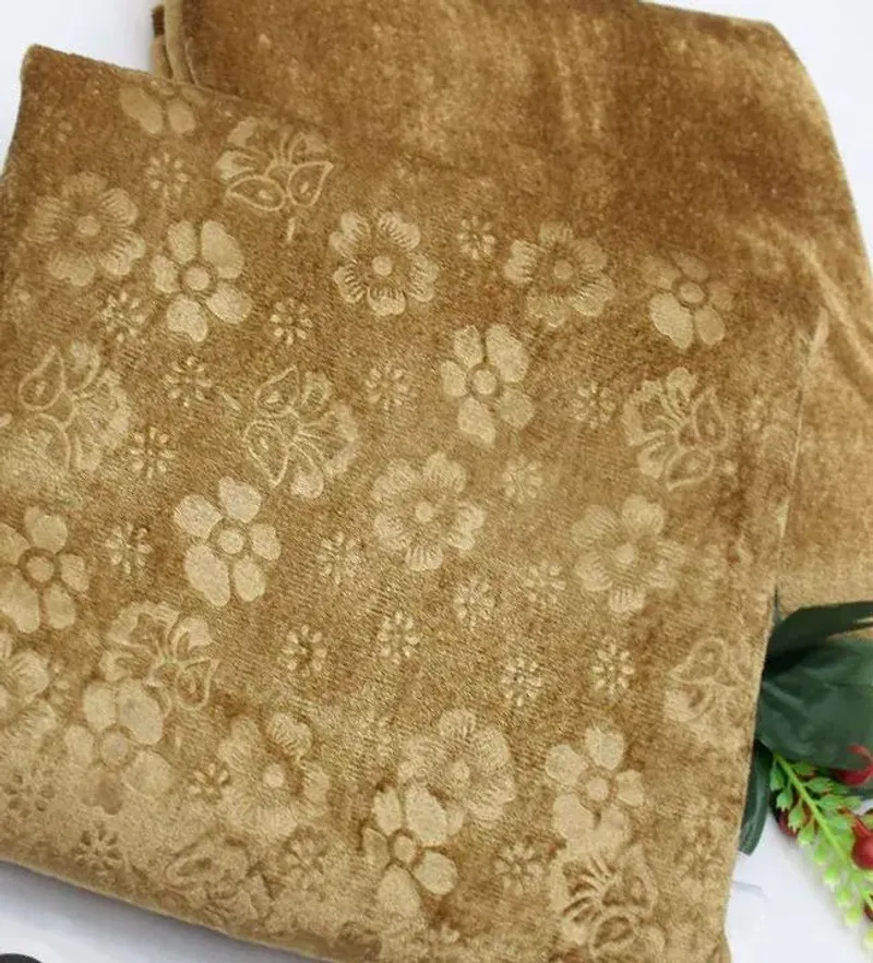 Velvet Floral 2PC Suit Beige Winter Collection - Image 2