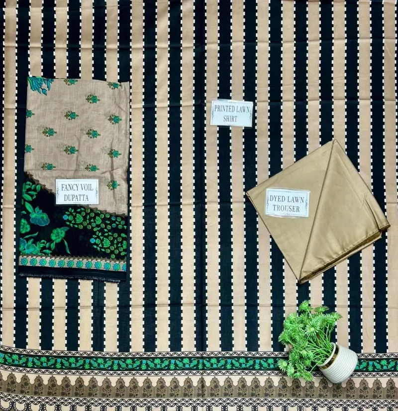 Pakistani Embroidered Kurti with Green & Beige Stripes - Image 5